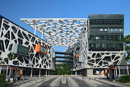 月下代码 网络技术开发者的中秋坚守与故事